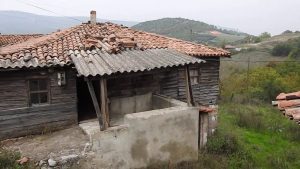 Köyde yaşıyordum