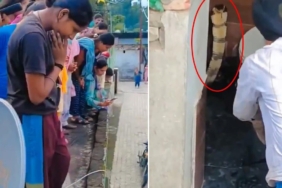 Hindistan'da bir evin tuvaletinde klozetin içine giren kobra paniğe yol açtı