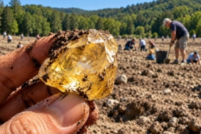ABD'deki Crater of Diamonds Eyalet Parkı'nda 40 Karatı Aşan Elmaslar Keşfedildi