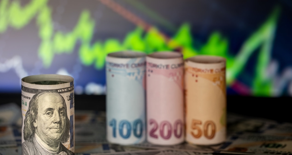 Küresel Piyasalarda Dolar Gerilerken İç Piyasada Döviz Kurları Rekor Seviyelere Çıktı