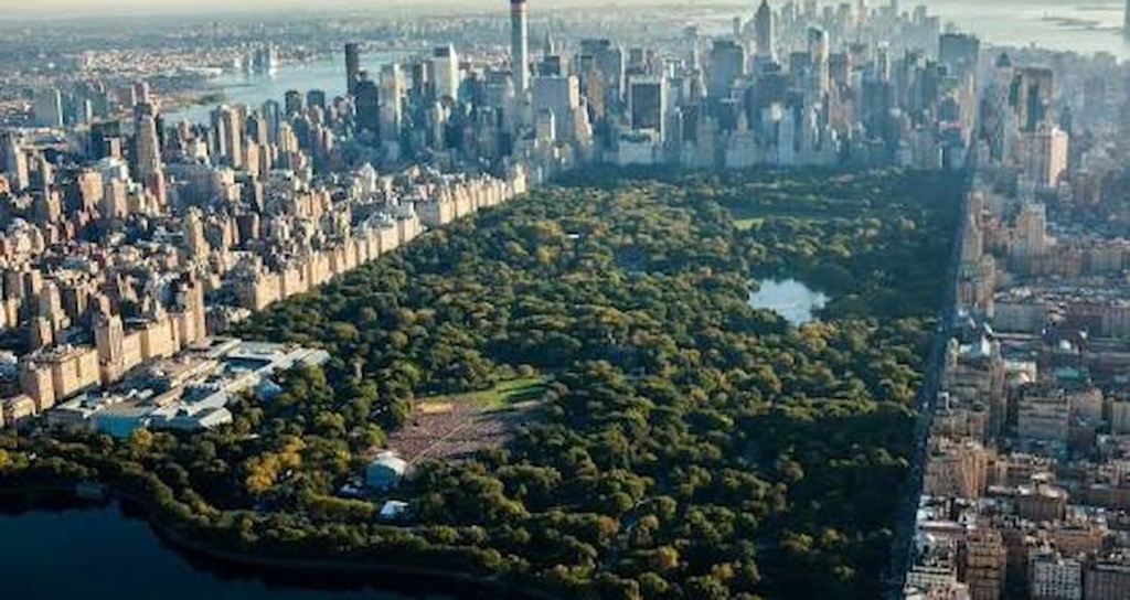 New York Central Park'ta Cinsel Saldırıya Uğrayan Kadın Hastaneye Kaldırıldı